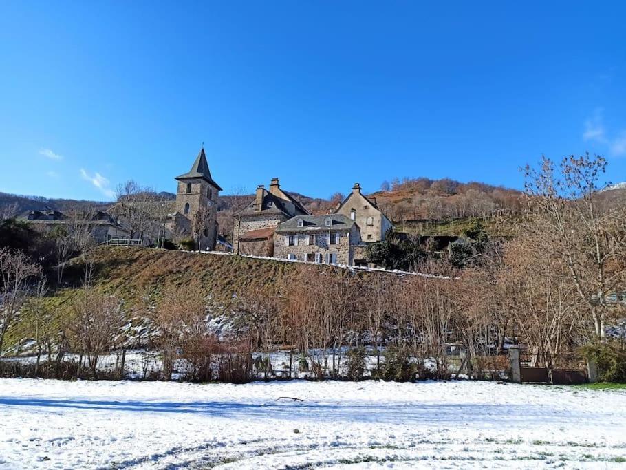 Maison Familiale Et Authentique Saint-Jacques-des-Blats Buitenkant foto